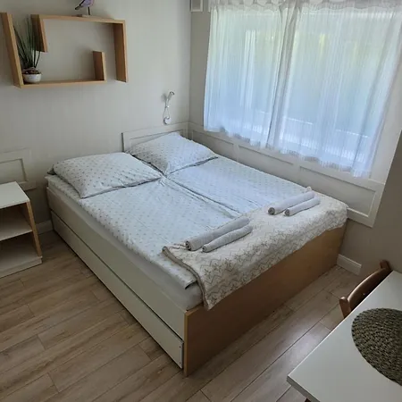 ホームステイ Corner ミエルノ